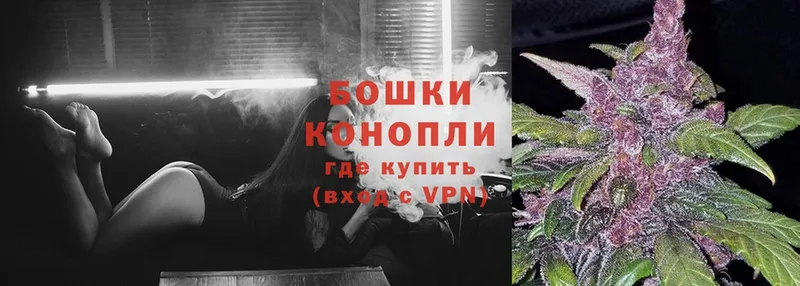 Каннабис SATIVA & INDICA  Таруса 